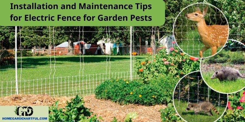 Installation and Maintenance Tips for Electric Fence for Garden Pests