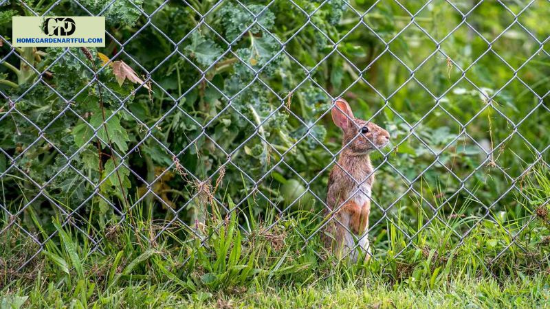 Natural Ways to Deter Rabbits