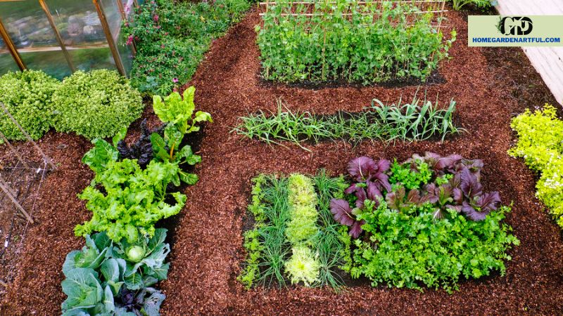 Harvesting and Maximizing Yield in a 20x20 Vegetable Garden Layout