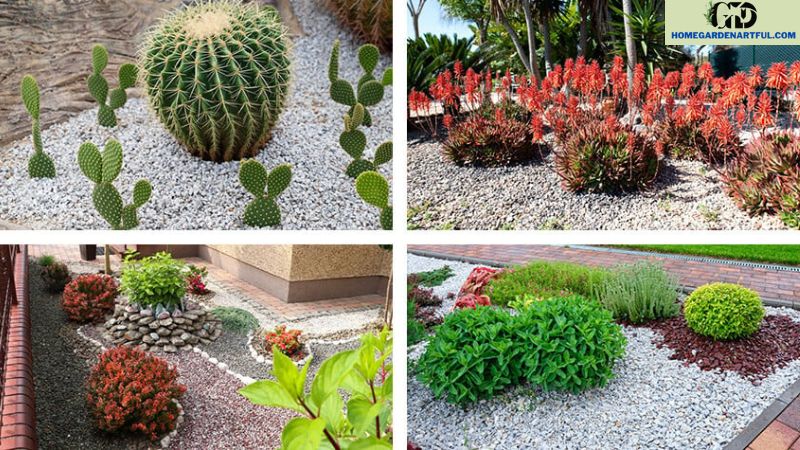 Maintenance and Care Tips for Gravel Gardens with Pots