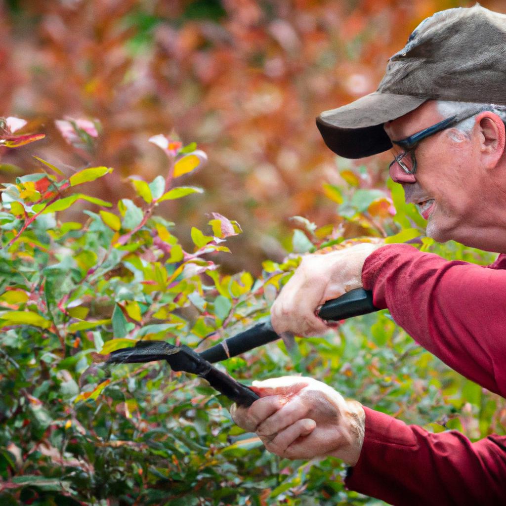 A skilled gardener skillfully shaping the bushes using pro garden tools.