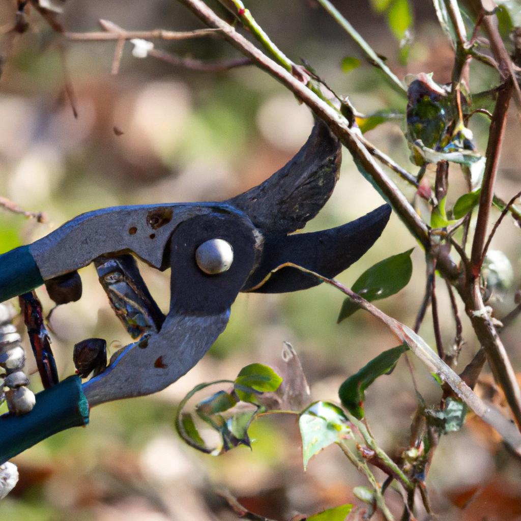 Pruning shears are vital for maintaining the health and shape of berry plants.