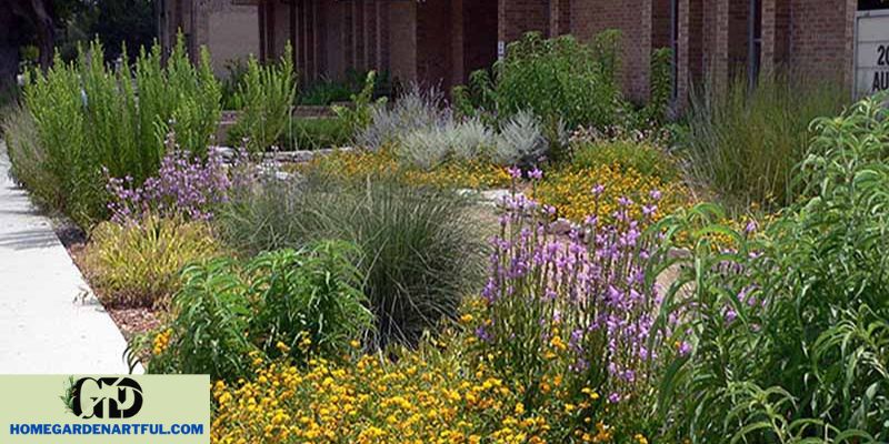 Best Native Plants for Front Yard Wildflower Gardens in North Carolina
