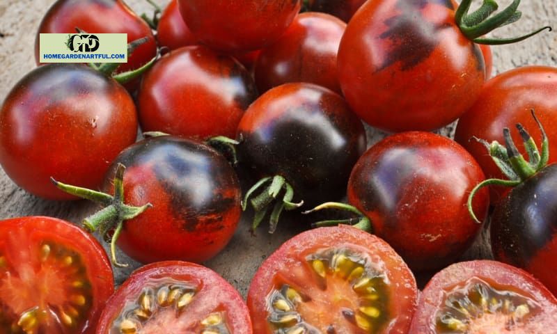 Choosing the Right Tomatoes for Midnight Snacks