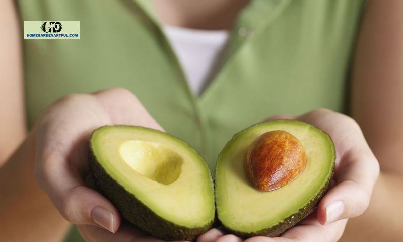 What is an Avocado Ripeness Chart?