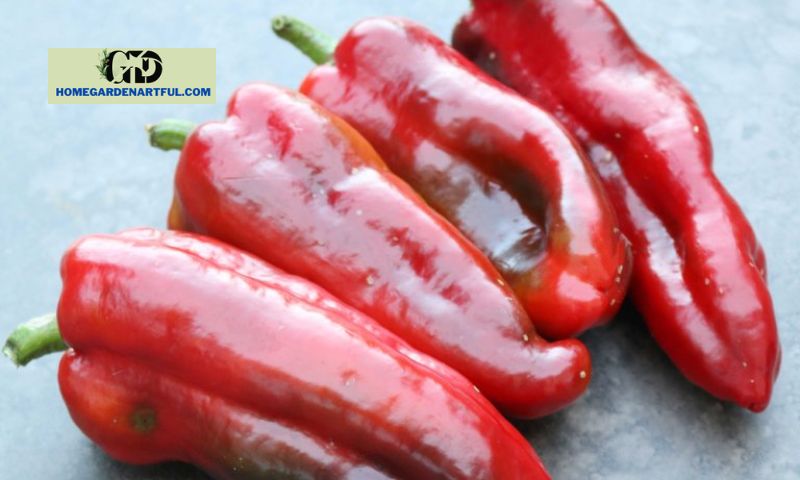 Culinary Uses of Giant Marconi Peppers