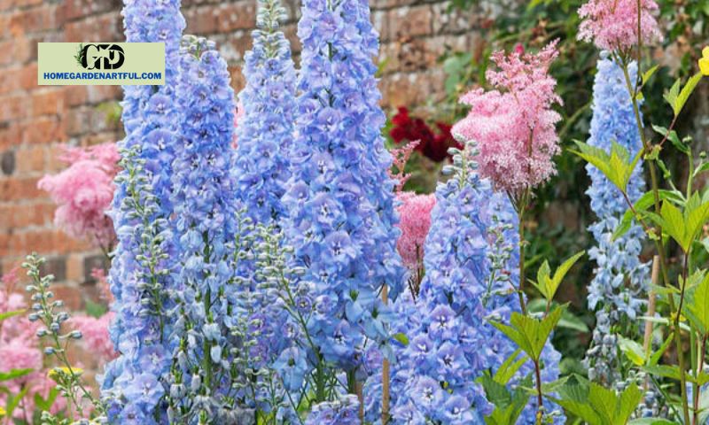 Cultivation and Care Tips for Light Blue Delphiniums