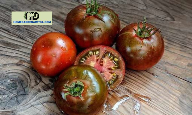 A Synopsis of Black Prince Tomatoes' History