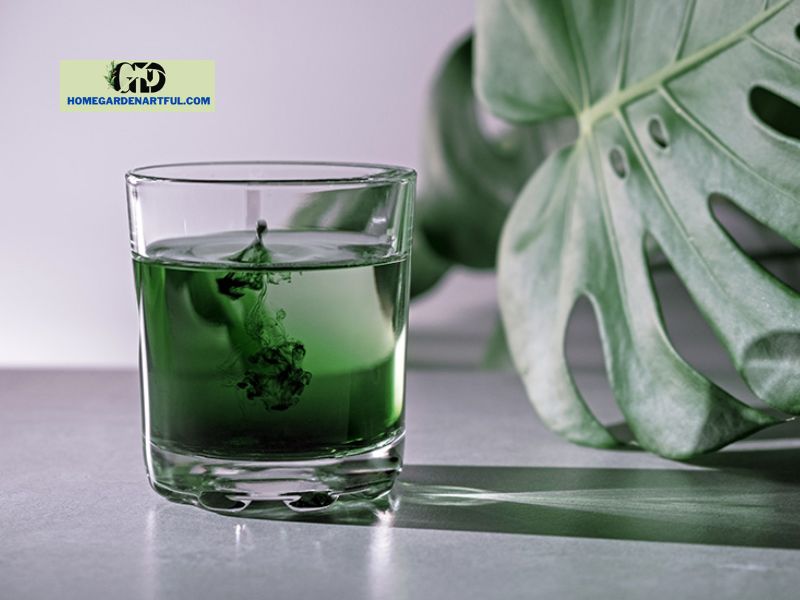 What is Liquid Chlorophyll?