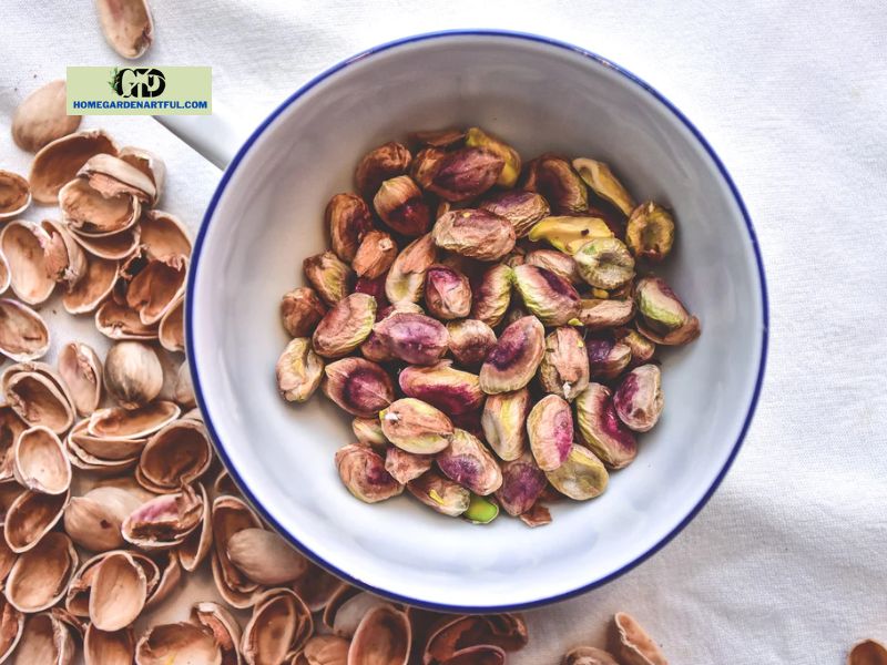 Uses For Pistachio Shells Besides Nuts