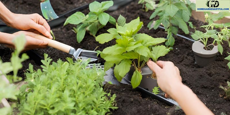 Maintaining a Healthy Garden Ecosystem