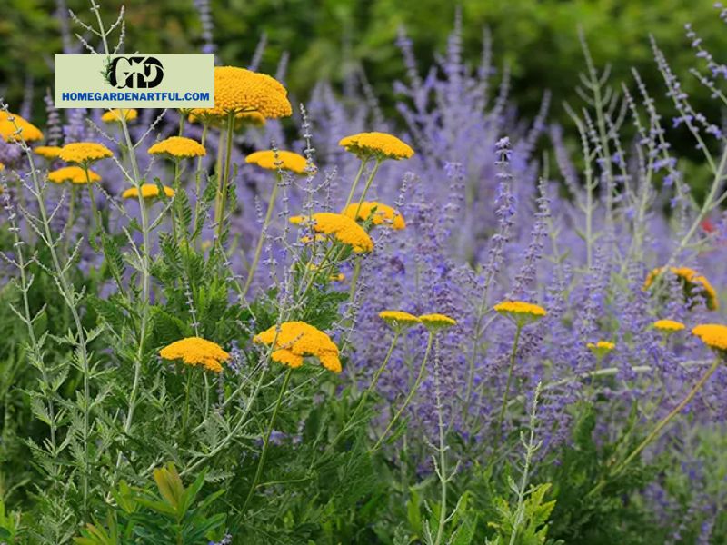 What Exactly Is Companion Planting?