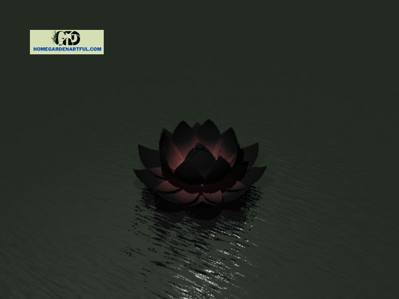 Meaning of Black Lotus in Buddhism