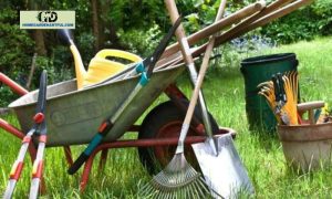 Garden Tools Sneeboer: Elevating Your Gardening Experience
