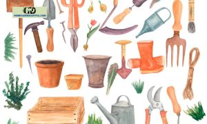 Garden Tools Clipart: Enhancing Visual Appeal in Gardening Activities