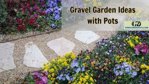 Gravel Garden Ideas with Pots: Enhancing Your Outdoor Oasis