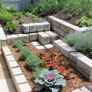 Garden Ideas With Cinder Blocks