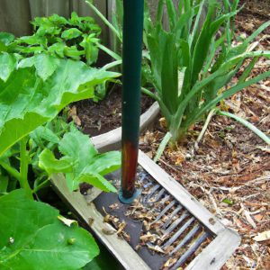 Garden Pests in Australia: Keeping Your Garden Pest-Free