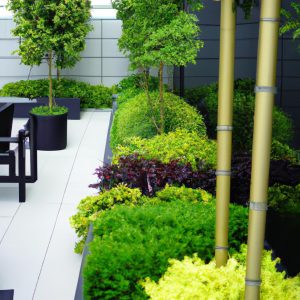 Modern Roof Garden Design
