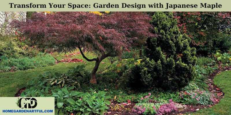 Transform Your Space: Garden Design with Japanese Maple