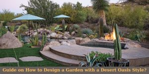 Guide on How to Design a Garden with a Desert Oasis Style?