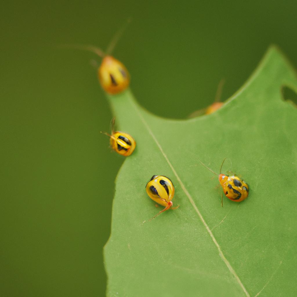 Tiny Yellow Bugs