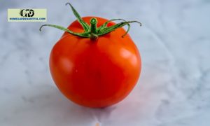 Jet Star Tomato: Everything You Should Know