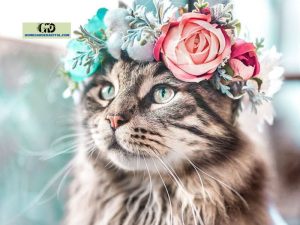 Flower That Looks Like A Cat: A Surprising Fact To Discover