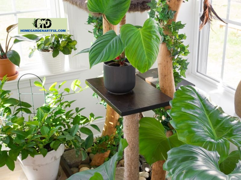 Philodendron Fuzzy Petiole: Everything You Should Know