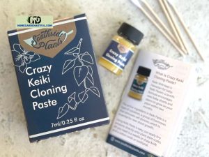 Crazy Keiki Cloning Paste: How To Use It