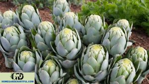 Discovering the Best Companion Plants for Artichokes